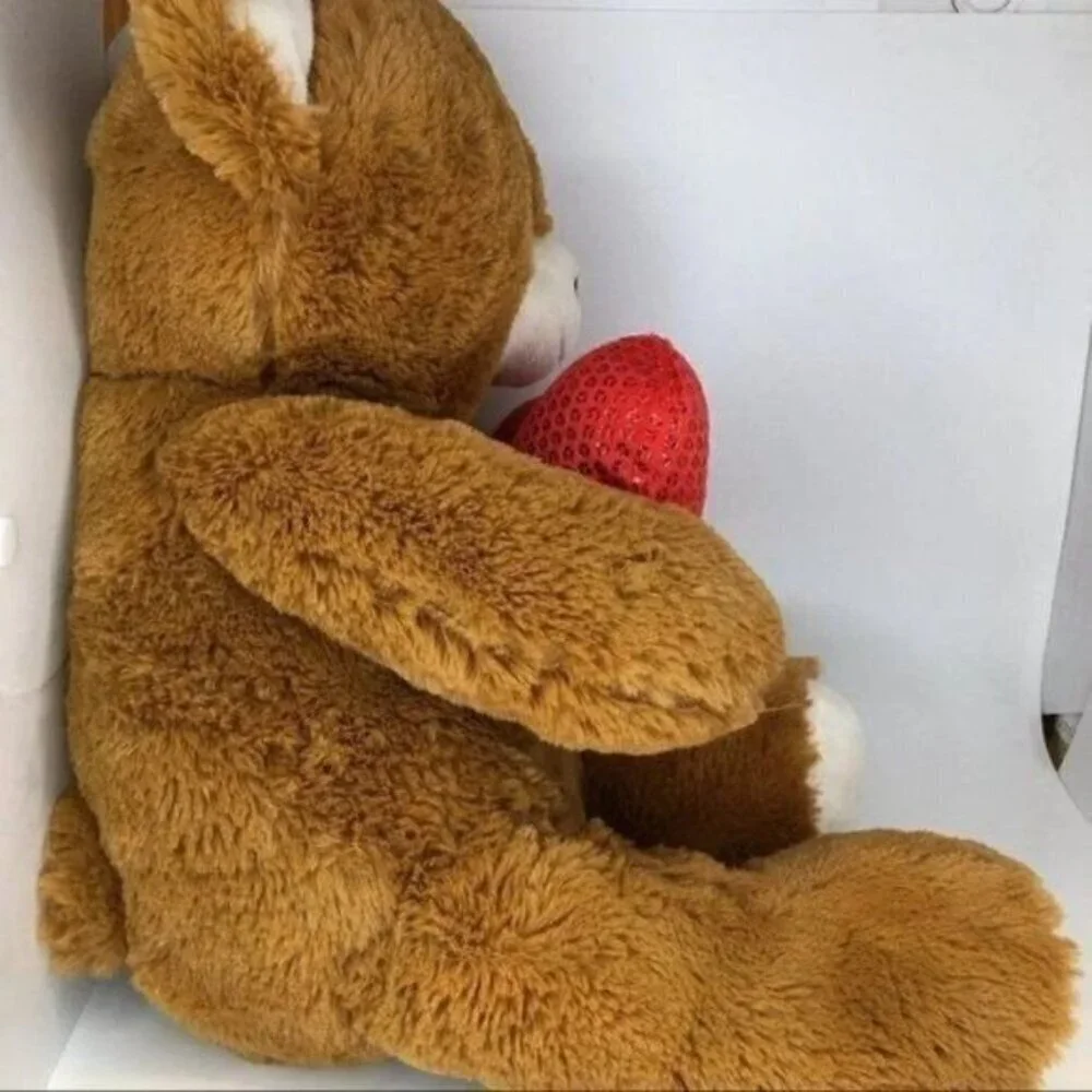 Dan Dee Teddy Bear Valentine Love Stuffed Animal Plush